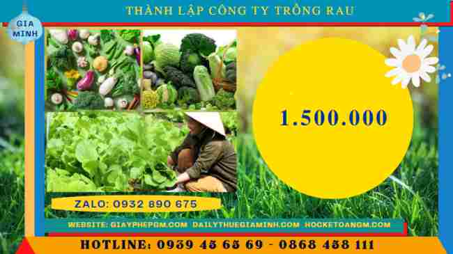Thành lập công ty trồng rau các loại 5 Chi phí thành lập công ty trồng rau các loại