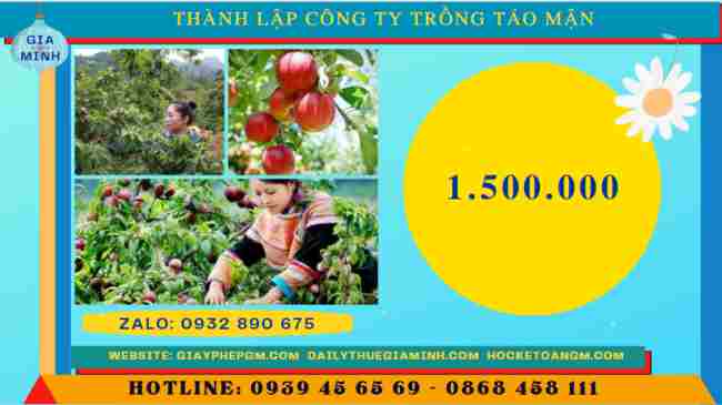 Thành lập công ty trồng táo, mận 5 Chi phí thành lập công ty trồng táo, mận