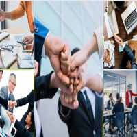 Thành lập công ty trồng cây cà phê 8 Cơ sở pháp lý thành lập công ty trồng cây cà phê
