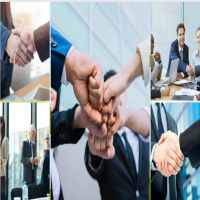 Cơ sở pháp lý thành lập công ty trồng cây cảnh lâu năm
