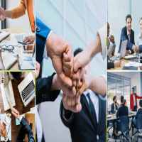 Thành lập công ty trồng cây chè 8 Cơ sở pháp lý thành lập công ty trồng cây chè