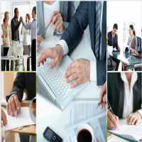 Thành lập công ty trồng cây điều 10 Cơ sở pháp lý thành lập công ty trồng cây điều