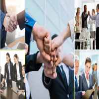 Cơ sở pháp lý thành lập công ty trồng cây dược liệu
