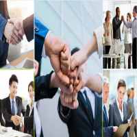 Thành lập công ty trồng rau các loại 6 Cơ sở pháp lý thành lập công ty trồng rau các loại