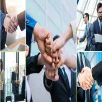 Thành lập công ty sản xuất giống trâu bò 12 Điều kiện thành lập công ty sản xuất giống trâu bò