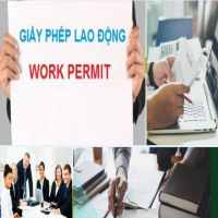 Hướng dẫn làm giấy phép lao động tại Kiên Giang 14 Điều kiện xin giấy phép lao động cho người nước ngoài tại Kiên Giang