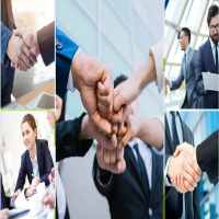 Thành lập công ty sản xuất giống trâu bò 8 Hồ sơ thành lập công ty sản xuất giống trâu bò