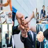 Thành lập công ty trồng cây hương liệu 7 Hồ sơ thành lập công ty trồng cây hương liệu