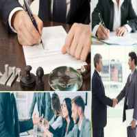 THÀNH LẬP CÔNG TY TRỒNG CÂY LẤY CỦ CÓ CHẤT BỘT 11 Hồ sơ thành lập công ty trồng cây lấy củ