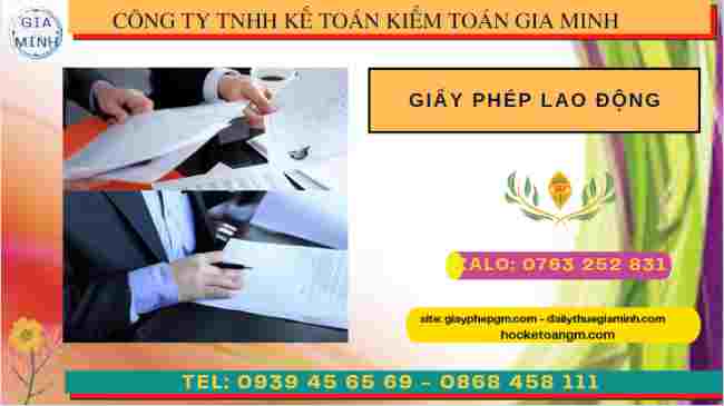 Hướng dẫn làm giấy phép lao động tại Đồng Tháp 8 Hồ sơ xin giấy phép lao động tại Đồng Tháp