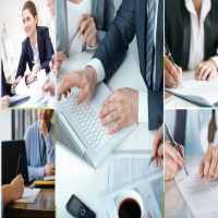 Thành lập công ty sản xuất giống trâu bò 9 Kinh nghiệm thành lập công ty sản xuất giống trâu bò