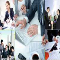 Kinh nghiệm thành lập công ty trồng cây cảnh lâu năm

