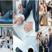 Thành lập công ty trồng cây chè 10 Kinh nghiệm thành lập công ty trồng cây chè