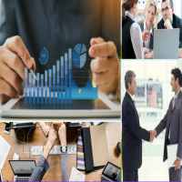 THÀNH LẬP CÔNG TY TRỒNG CÂY LẤY CỦ CÓ CHẤT BỘT 14 Kinh nghiệm thành lập công ty trồng cây lấy củ
