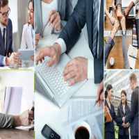 Thành lập công ty trồng cây hương liệu 8 Làm giấy phép thành lập công ty trồng cây hương liệu như thế nào
