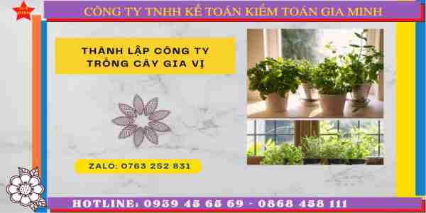 Thành lập công ty trồng cây gia vị 5 Những lưu ý khi thành lập công ty cây gia vị