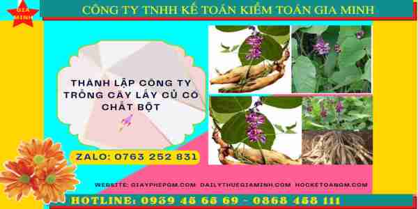 THÀNH LẬP CÔNG TY TRỒNG CÂY LẤY CỦ CÓ CHẤT BỘT 8 Những lưu ý khi thành lập công ty trồng cây lấy củ