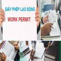 Hướng dẫn làm giấy phép lao động tại Kiên Giang 9 Những trường hợp cần làm giấy phép lao động tại Kiên Giang