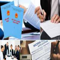 Quy trình cấp giấy phép lao động cho người nước ngoài tại Tiền Giang
