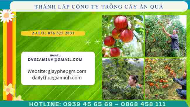 Thành lập công ty trồng cây ăn quả 4 Thủ tục thành lập công ty trồng cây ăn quả