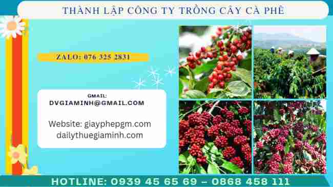 Thành lập công ty trồng cây cà phê 7 Thủ tục thành lập công ty trồng cây cà phê
