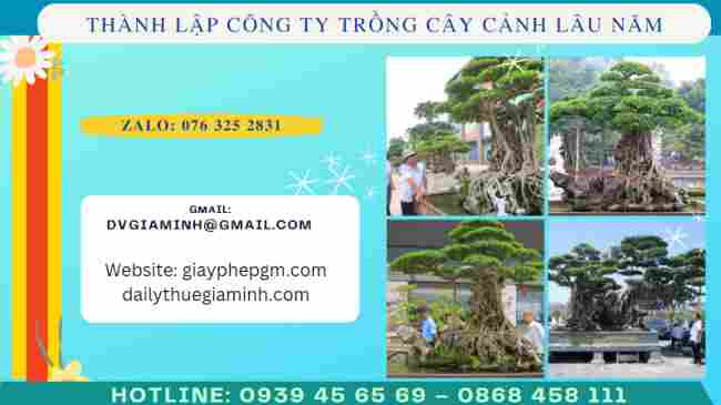 Thủ tục thành lập công ty trồng cây cảnh lâu năm
