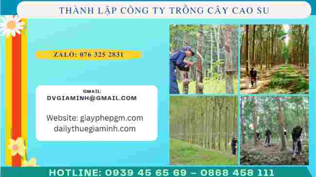 Thành lập công ty trồng cây cao su 7 Thủ tục thành lập công ty trồng cây cao su