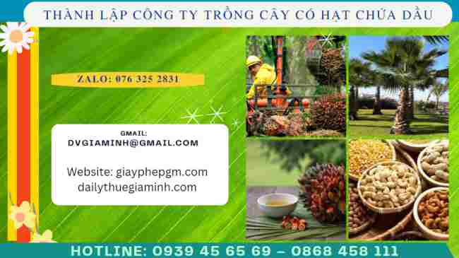 Thành lập công ty trồng cây có hạt chứa dầu 4 Thủ tục thành lập công ty trồng cây có hạt chứa dầu