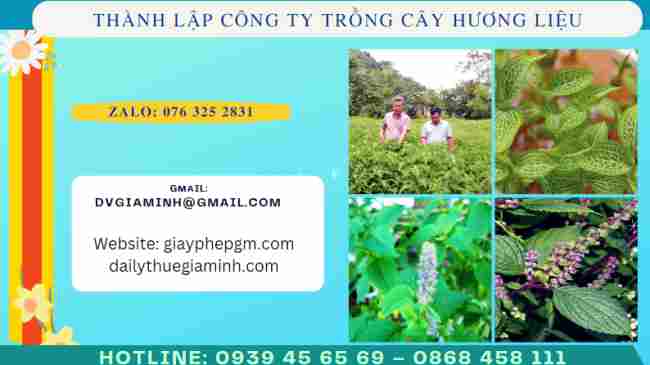 Thành lập công ty trồng cây hương liệu 6 Thủ tục thành lập công ty trồng cây hương liệu