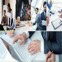 THÀNH LẬP CÔNG TY TRỒNG CÂY LẤY CỦ CÓ CHẤT BỘT 12 Thủ tục thành lập công ty trồng cây lấy củ