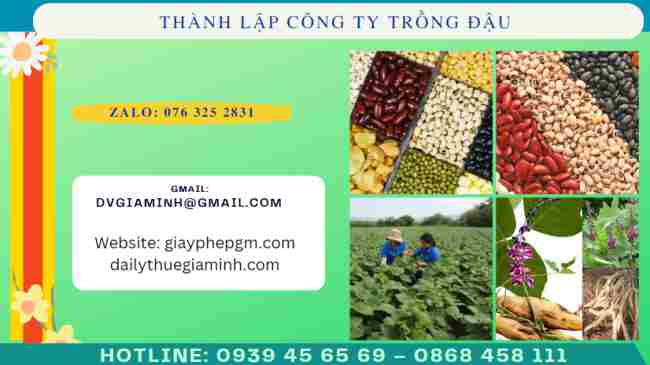 Thành lập công ty trồng đậu các loại 7 Thủ tục thành lập công ty trồng đậu các loại