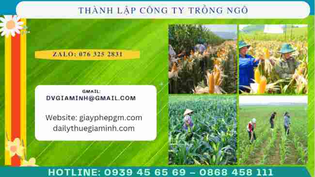 Thành lập công ty trồng ngô 4 Thủ tục thành lập công ty trồng ngô