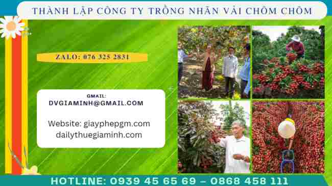 Thành lập công ty trồng nhãn, vải, chôm chôm 6 Thủ tục thành lập công ty trồng nhãn, vải, chôm chôm