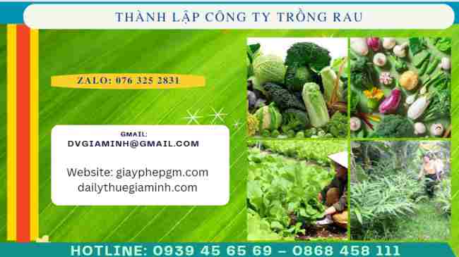 Thành lập công ty trồng rau các loại 4 Thủ tục thành lập công ty trồng rau các loại
