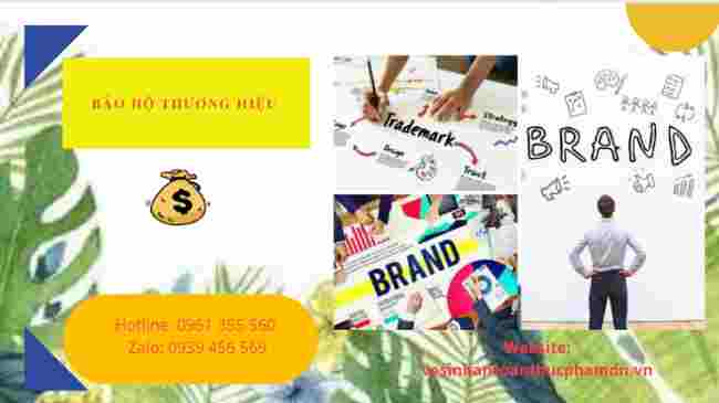 DỊCH VỤ BẢO HỘ THƯƠNG HIỆU TẠI BÌNH ĐỊNH 4 Dịch vụ bảo hộ thương hiệu tại Bình Định