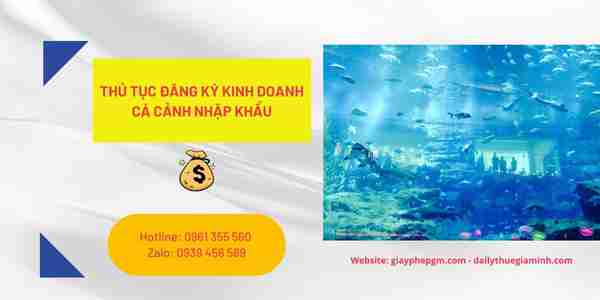 Các bước đăng ký kinh doanh cá cảnh nhập khẩu