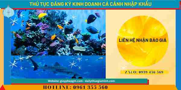 Chi phí đăng ký kinh doanh cá cảnh nhập khẩu