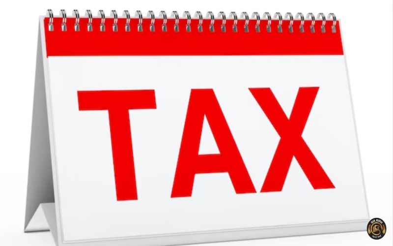 Thủ tục đóng mã số thuế chi nhánh 8 thủ tục đóng mã số thuế khi giải thể chi nhánh