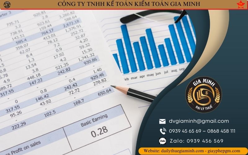 Dịch vụ kế toán chuyên nghiệp ở Long An 5 Các loại dịch vụ kế toán chuyên nghiệp ở Long An