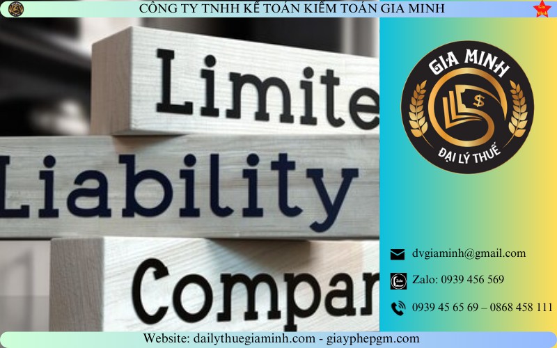 Người đại diện theo pháp luật công ty TNHH 1 thành viên