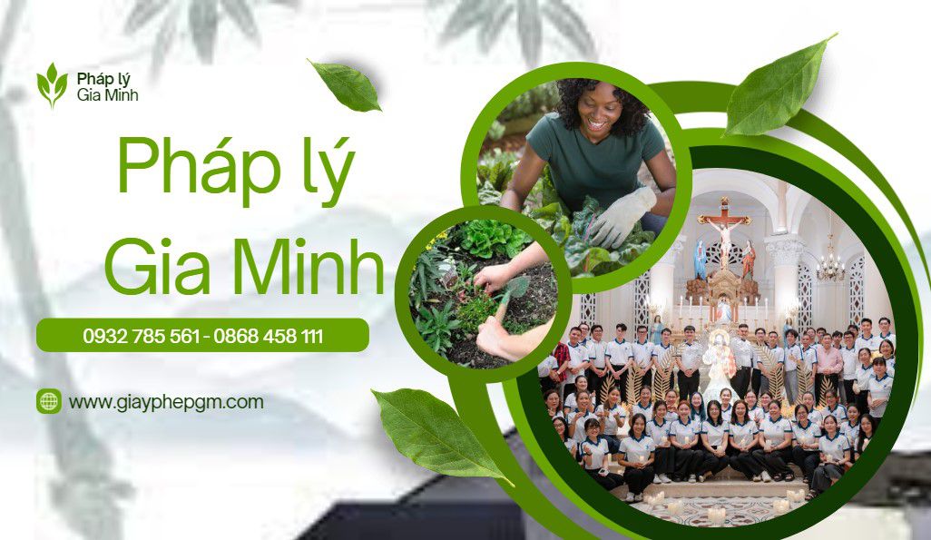 Dịch vụ kế toán chuyên nghiệp ở An Giang – Uy tín, đúng luật, hỗ trợ tận nơi 15 Tư vấn thuế kế toán an giang