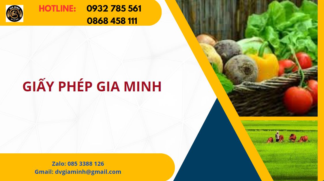 Thủ tục bảo đảm tiền vay bằng hình thức thế chấp tài sản 2 Hướng dẫn thế chấp tài sản để bảo đảm cho khoản vay