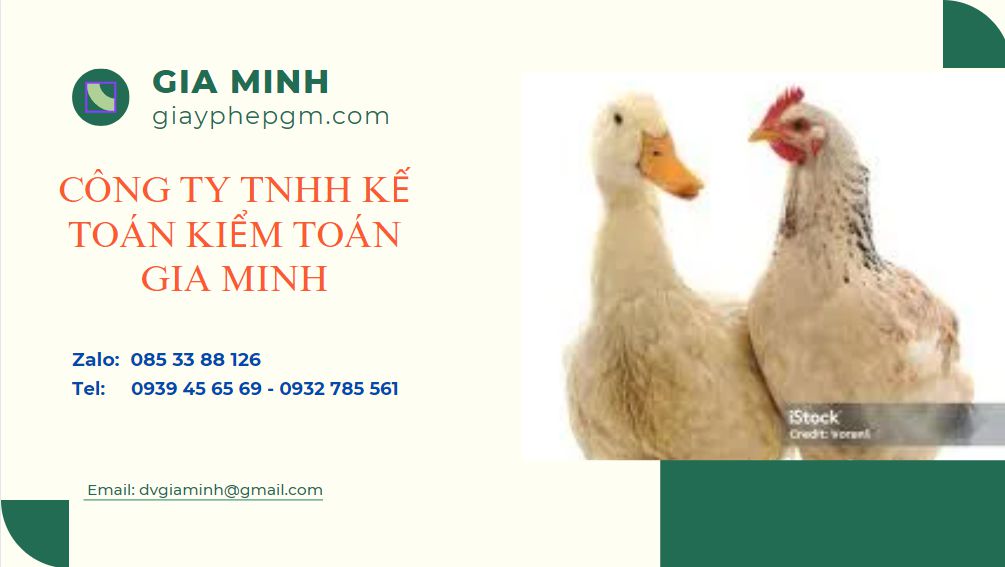 Thành lập công ty nông nghiệp chăn nuôi: Quy trình, điều kiện và những lưu ý quan trọng 3 Thành lập công ty nông nghiệp chăn nuôi