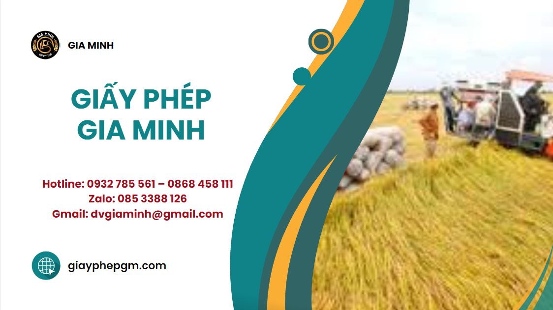 Thành lập hộ kinh doanh sản xuất giấy vệ sinh 3 Thành lập hộ kinh doanh sản xuất giấy vệ sinh