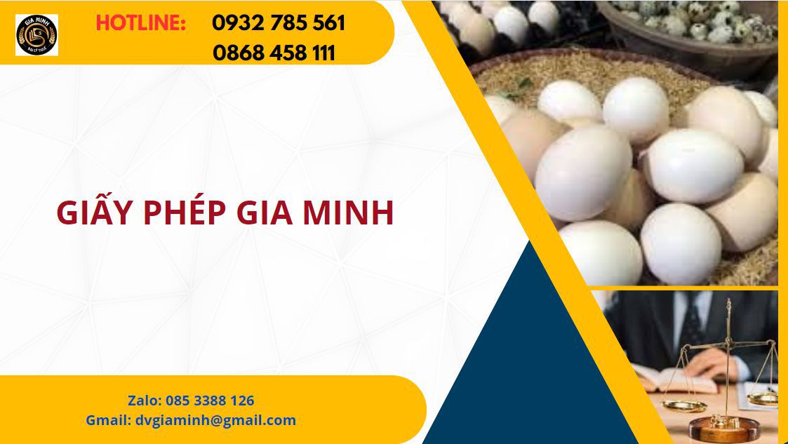Mẫu đề án thành lập trung tâm dạy trẻ tự kỷ 4 Hướng dẫn điền mẫu đề án thành lập trung tâm dạy trẻ tự kỷ