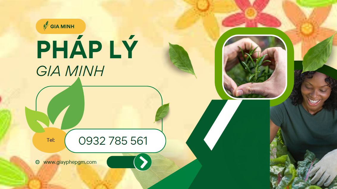 Hướng dẫn đăng ký xe ô tô mới từ A-Z 16 Giấy tờ cần thiết khi đăng ký xe ô tô