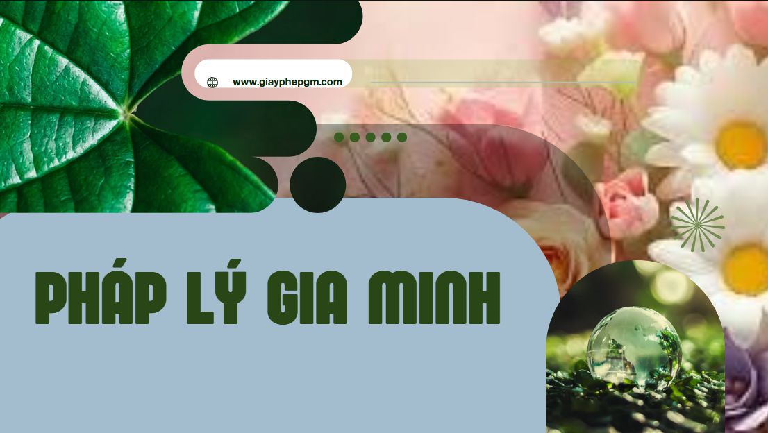Điều kiện đăng ký mã số vùng trồng cho gạo xuất khẩu 11 Hồ sơ đăng ký mã số vùng trồng gạo xuất khẩu