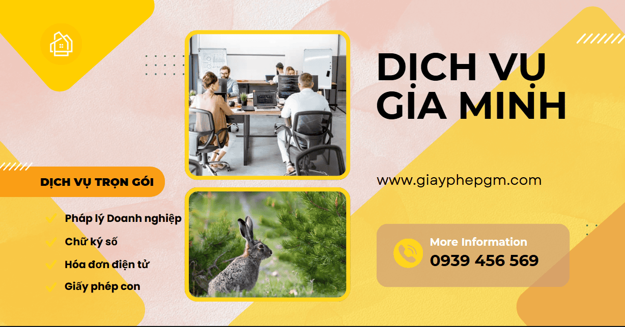 Thành lập công ty bất động sản có vốn nước ngoài – Điều kiện & thủ tục mới nhất 8 Hồ sơ thành lập công ty bất động sản có vốn nước ngoài