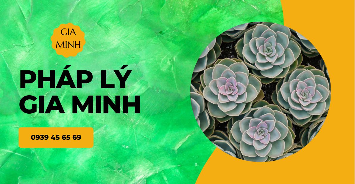 Cách tra cứu biển số xe điện sau khi đăng ký 9 Kết quả hiển thị sau khi tra cứu biển số xe điện