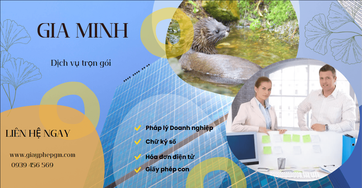 Lưu ý pháp lý khi giải thể trung tâm tiếng Nhật